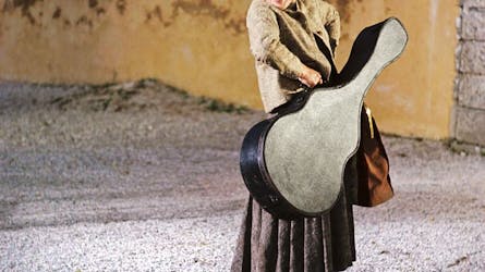 Private Sound of Music half-day tour from Salzburg